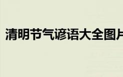 清明节气谚语大全图片高清 清明节气的谚语