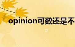 opinion可数还是不可数 opinion可数吗