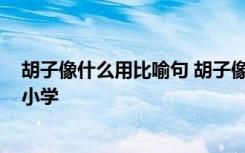 胡子像什么用比喻句 胡子像什么比喻句_胡子像什么比喻句小学