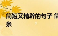 简短又精辟的句子 简洁的简短的经典语录40条