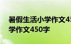 暑假生活小学作文450字怎么写 暑假生活小学作文450字