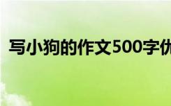 写小狗的作文500字优秀作文 写小狗的作文