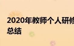 2020年教师个人研修总结报告 个人研修教师总结