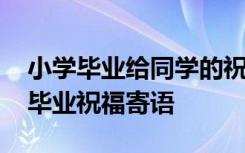 小学毕业给同学的祝福语简短 给同学的小学毕业祝福寄语