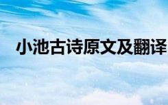 小池古诗原文及翻译 小池古诗译文及赏析