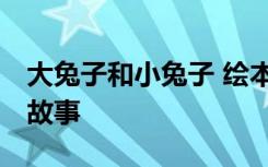 大兔子和小兔子 绘本 大兔子和小兔子的童话故事