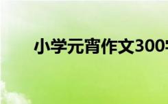 小学元宵作文300字 小学生元宵作文