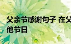 父亲节感谢句子 在父亲节谢谢父亲的句子-其他节日