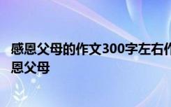 感恩父母的作文300字左右作文 感恩父母优秀作文300字-感恩父母