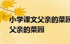 小学课文父亲的菜园 四年级语文下册教案：父亲的菜园