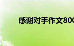 感谢对手作文800字 感谢对手作文