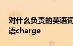 对什么负责的英语词组 对什么负责的英语短语charge