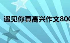 遇见你真高兴作文800字 遇见你真高兴作文