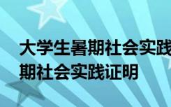 大学生暑期社会实践证明模板表格 大学生暑期社会实践证明