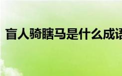 盲人骑瞎马是什么成语 盲人骑瞎马成语解释