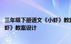 三年级下册语文《小虾》教案设计思路 三年级下册语文《小虾》教案设计