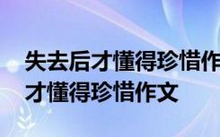 失去后才懂得珍惜作文600字作文 失去之后,才懂得珍惜作文