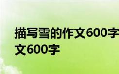 描写雪的作文600字初中记叙文 描写雪的作文600字