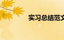 实习总结范文 实习的总结