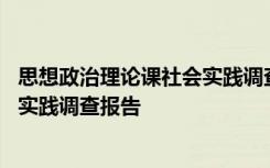 思想政治理论课社会实践调查报告模板 思想政治理论课社会实践调查报告