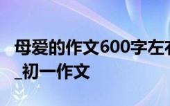 母爱的作文600字左右 母爱的作文600字初中_初一作文