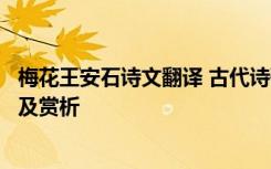 梅花王安石诗文翻译 古代诗歌王安石《梅花》全诗翻译注释及赏析