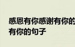 感恩有你感谢有你的句子简短 感恩有你感谢有你的句子