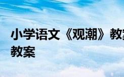 小学语文《观潮》教案设计 小学语文《观潮》教案