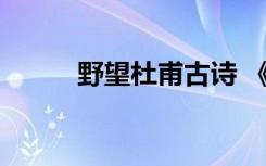 野望杜甫古诗 《野望》杜甫赏析