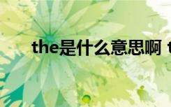 the是什么意思啊 the是什么意思单词