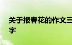 关于报春花的作文三百字左右 报春作文600字