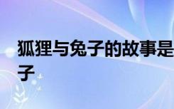 狐狸与兔子的故事是什么 寓言故事:狐狸和兔子