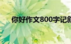 你好作文800字记叙文 你好作文800字