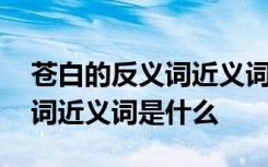 苍白的反义词近义词是什么意思 苍白的反义词近义词是什么