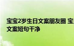 宝宝2岁生日文案朋友圈 宝贝两岁生日朋友圈说说 2岁生日文案短句干净