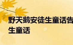 野天鹅安徒生童话告诉我们什么 野天鹅安徒生童话