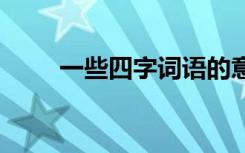 一些四字词语的意思 一些四字词语