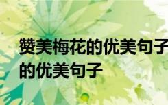 赞美梅花的优美句子不于百花争艳 赞美梅花的优美句子