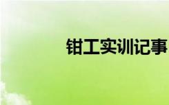 钳工实训记事 钳工实习日记