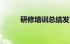 研修培训总结发言 研修培训总结