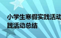 小学生寒假实践活动总结报告 小学生寒假实践活动总结