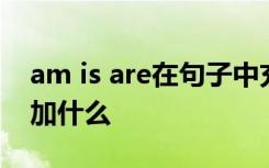 am is are在句子中充当什么 am is are后面加什么