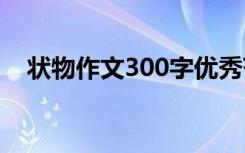 状物作文300字优秀范文 状物作文300字