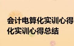 会计电算化实训心得1000字怎么写 会计电算化实训心得总结