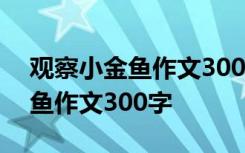 观察小金鱼作文300字左右三年级 观察小金鱼作文300字