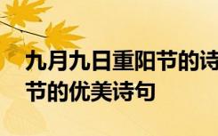 九月九日重阳节的诗词有哪些 九月九日重阳节的优美诗句