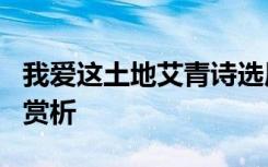 我爱这土地艾青诗选原文 艾青《我爱这土地》赏析