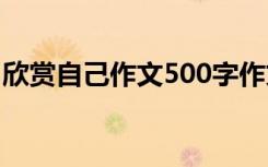 欣赏自己作文500字作文 欣赏自己作文300字