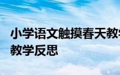 小学语文触摸春天教学反思 语文《触摸春天》教学反思