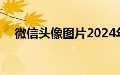 微信头像图片2024年新款 微信头像图片